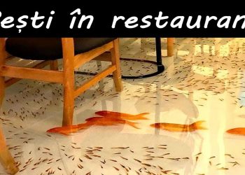 Cele mai ciudate restaurante din lume