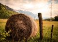 agroturism