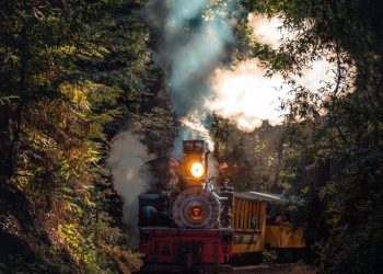 Plimbare cu Mocanita prin Valea Vaserului