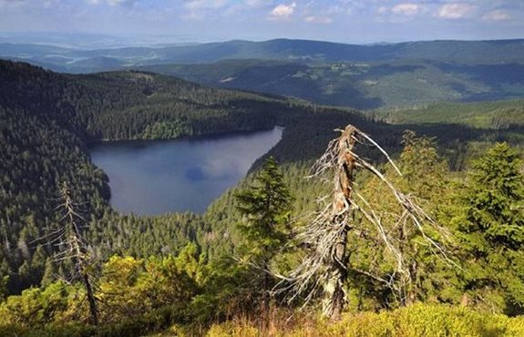 Parcului National Sumava
