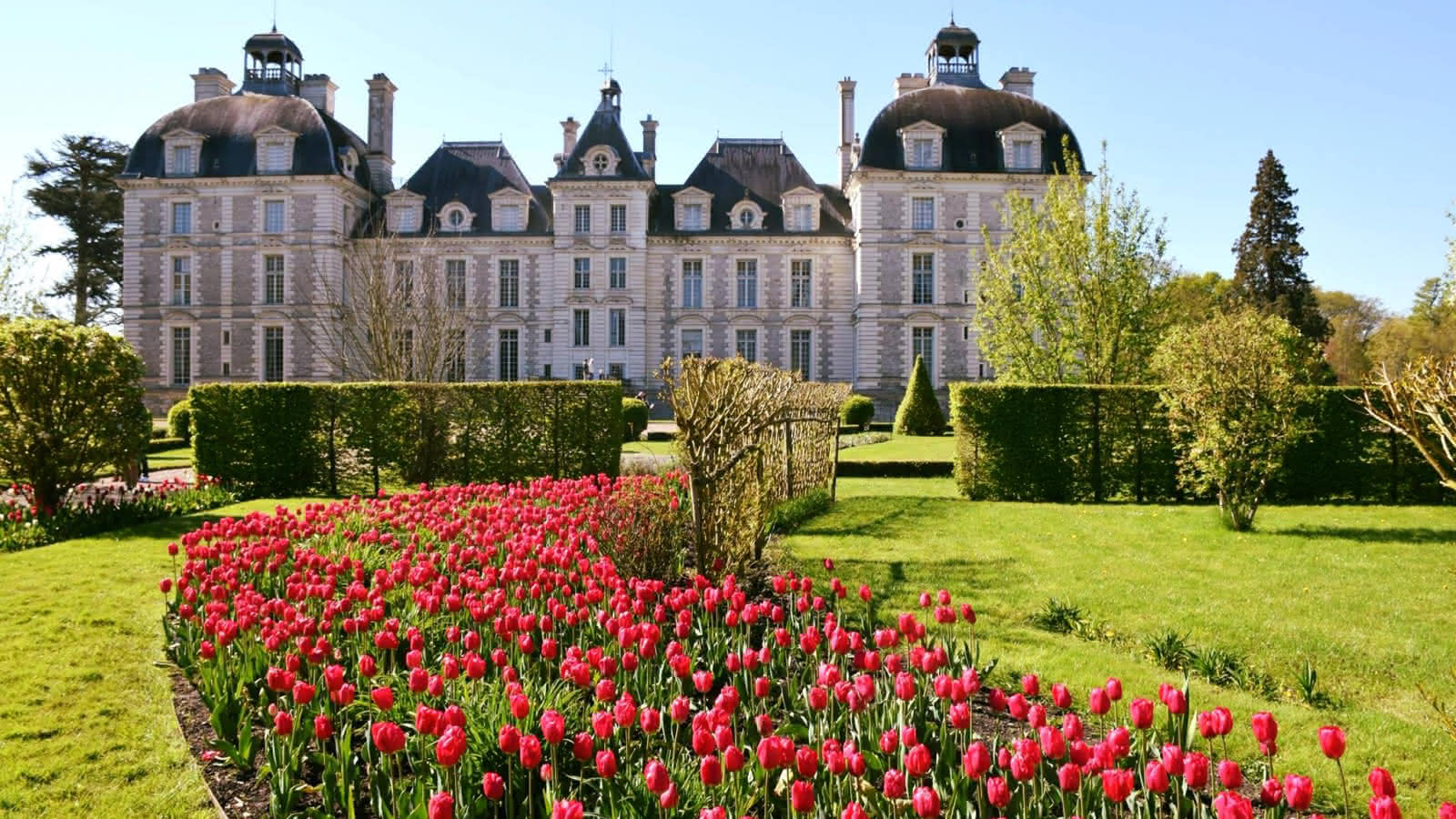 Château de Cheverny