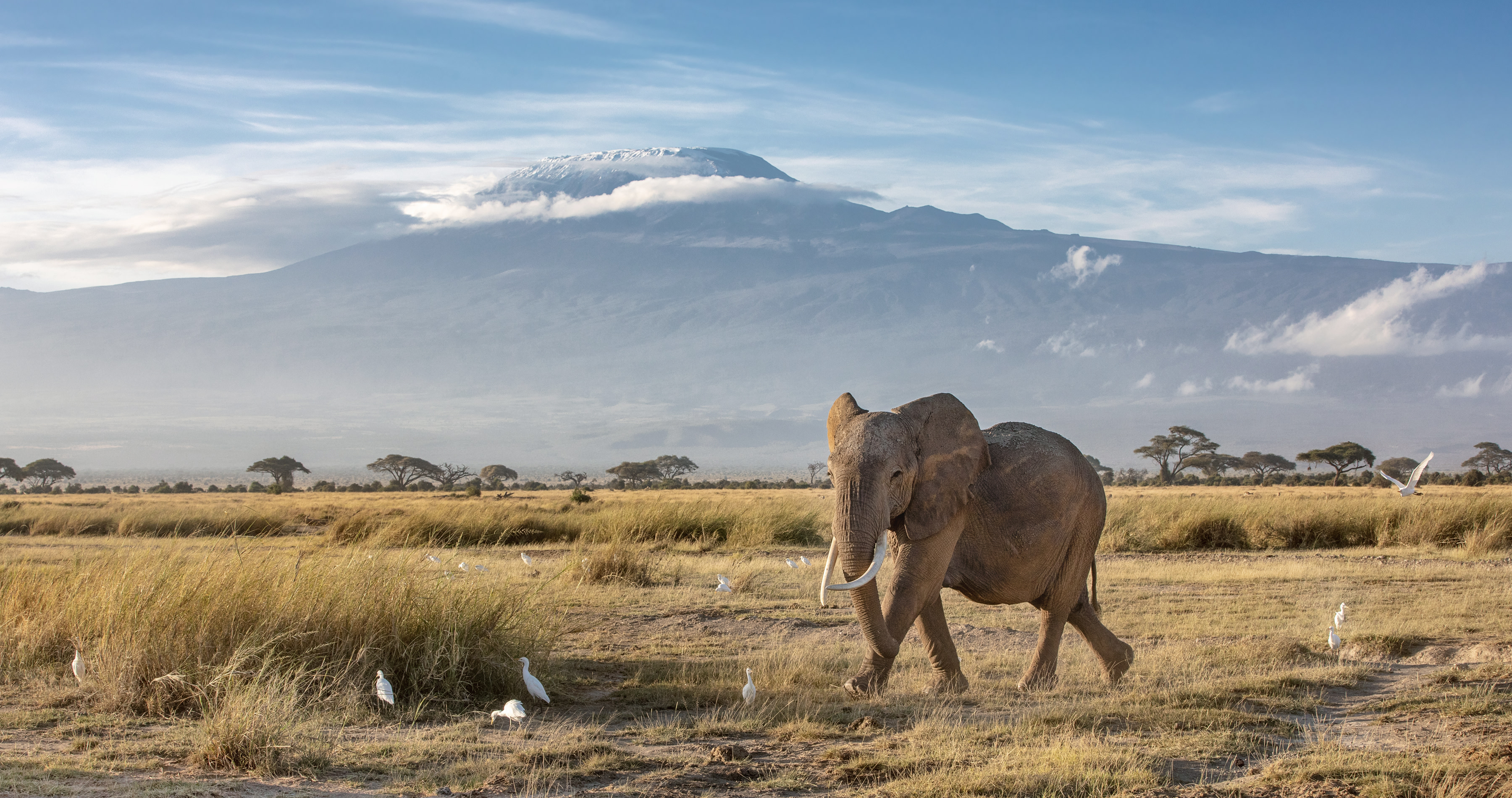 Tanzania