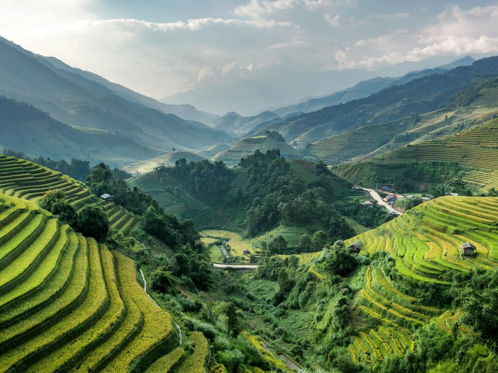 Exploreaza cultura din Laos