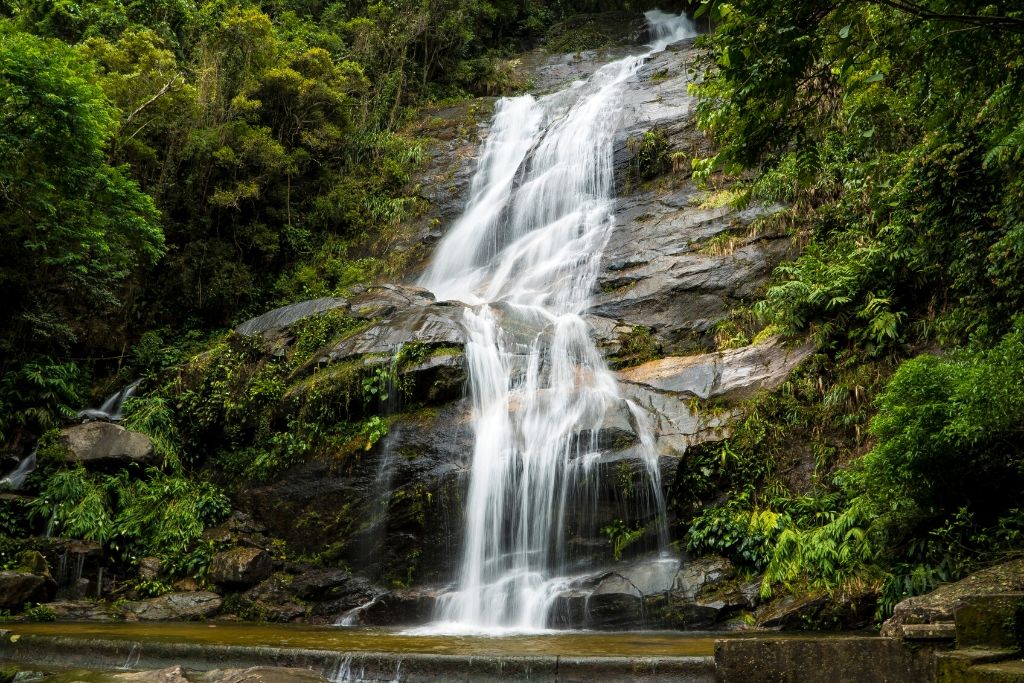 Padurea Tijuca