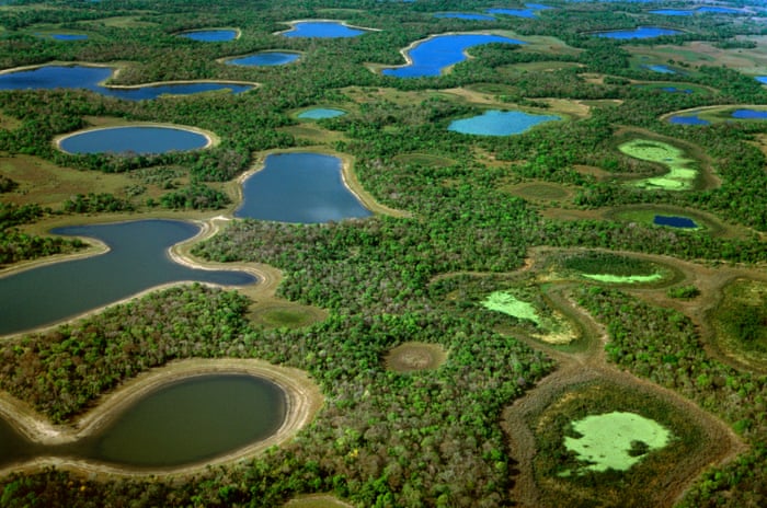 Pantanalul