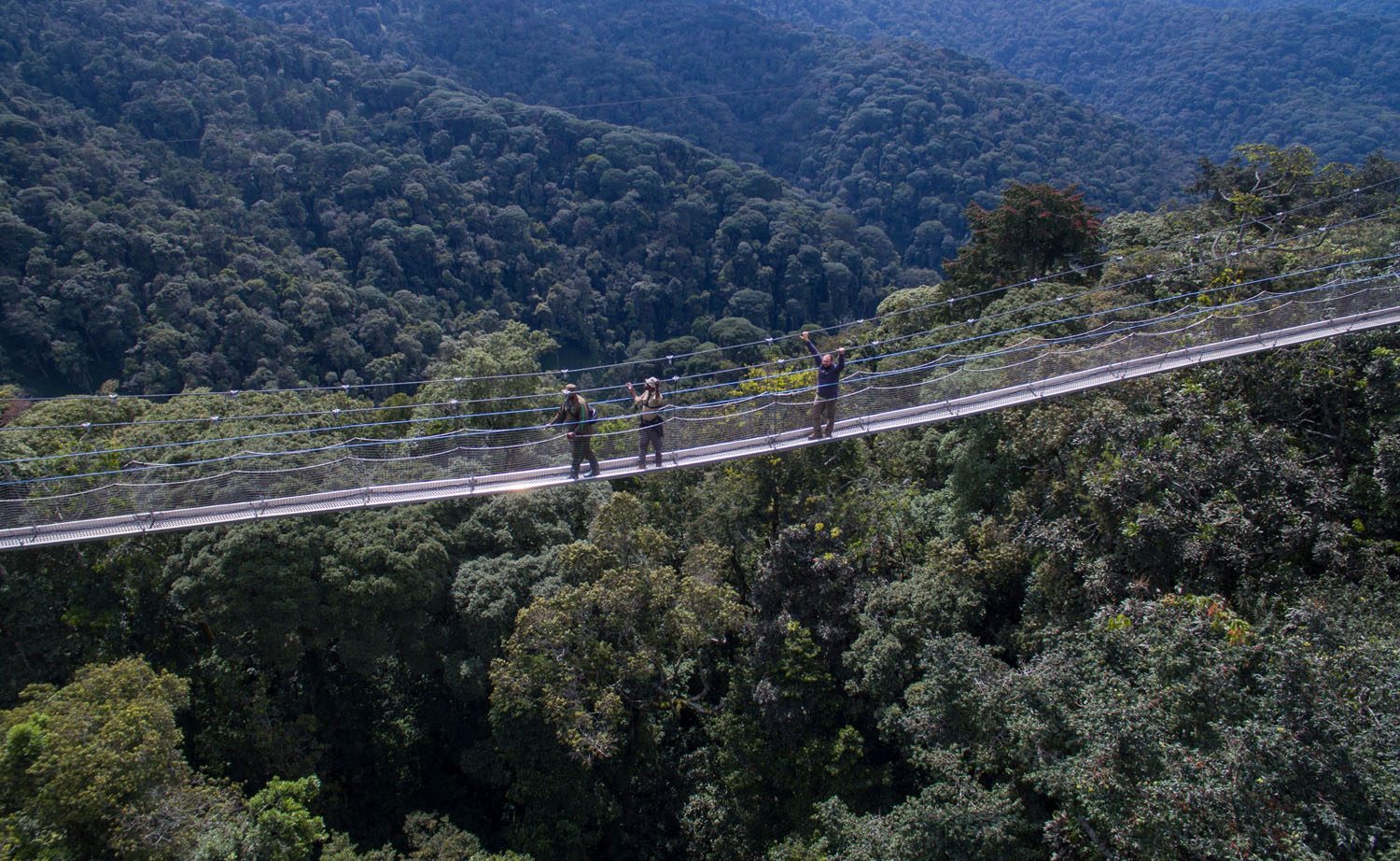 1. Pasarela cu baldachin in Parcul National Nyungwe, Ruanda