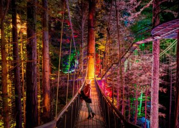 Cele mai spectaculoase poduri suspendate ale planetei – Partea I