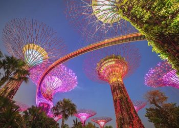 Pasarelele uluitoare ale naturii din lumea intreaga – Partea a II-a