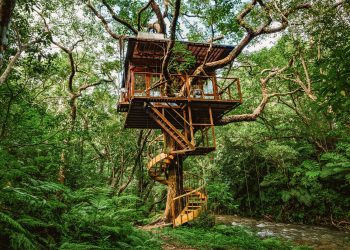 10 case in copac spectaculoase din lumea intreaga - Partea I