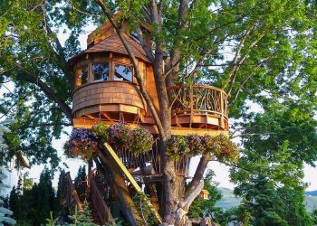 Case in copac spectaculoase in care poti sa iti petreci vacanta de vis – Partea a II-a