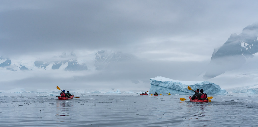 Antarctica, Insula Cuverville