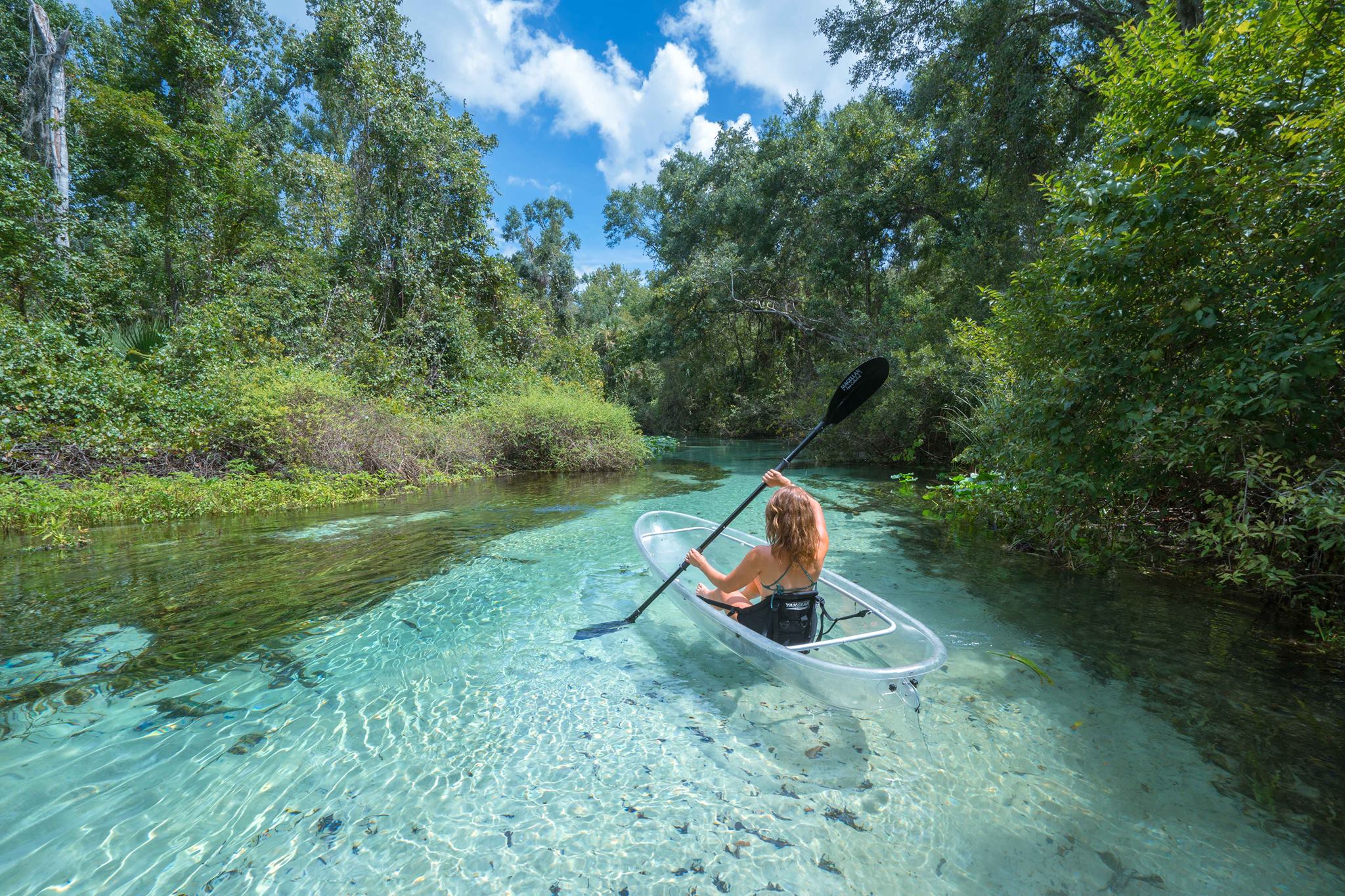 Apopka, Florida