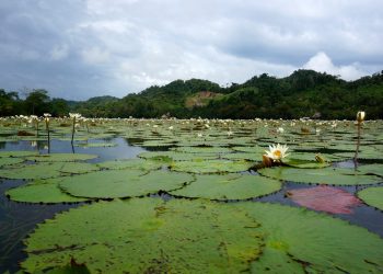 Ce sa faci in Guatemala – Partea a II-a