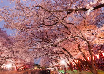 Ce vedem in Tokyo – Obiective turistice