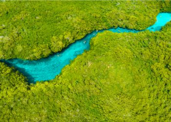 Crovul Casa – informatii, preturi si program – VII