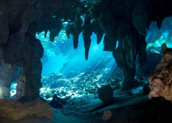 Crovul Dos Ojos informatii, preturi si program – IV