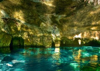 Crovul Gran - informatii, preturi si program – VI