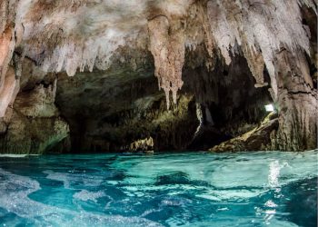 Crovul Pet Cemetery - informatii, preturi si program – V